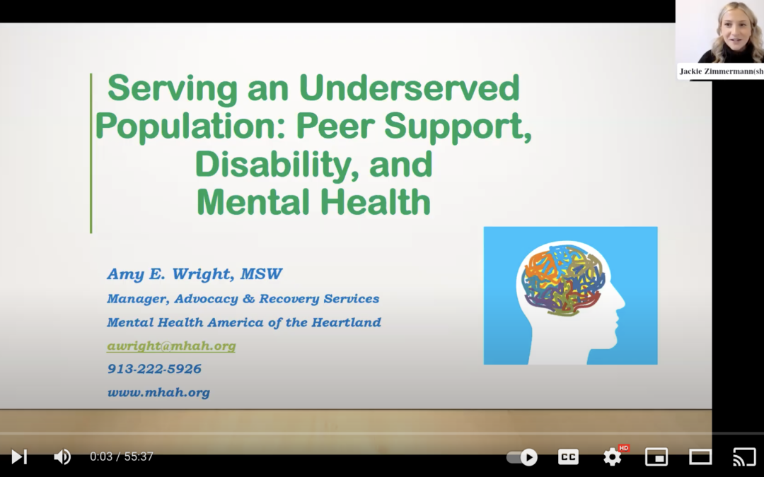 Serving an Underserved Population:  Peer Support, Disability, and Mental Health